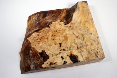 Horse Chestnut Burl 280x240x60mm - Roka0272