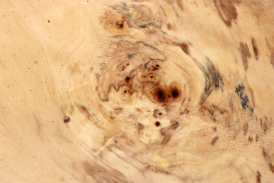 Horse Chestnut Burl 280x240x60mm - Roka0272