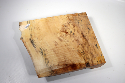 Horse Chestnut Burl 280x240x60mm - Roka0272