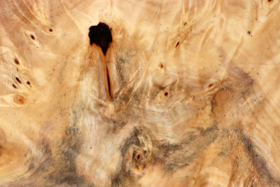 Horse Chestnut Burl 285x190x75mm - Roka0495