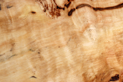 Horse Chestnut Burl 360x150x68mm - Roka0460
