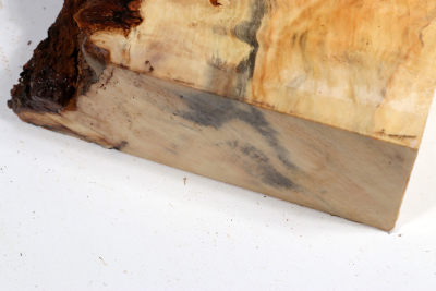 Horse Chestnut Burl 360x150x68mm - Roka0460