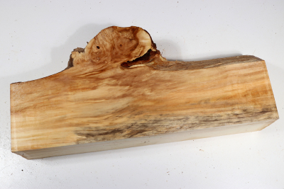 Horse Chestnut Burl 360x165x75mm - Roka0463