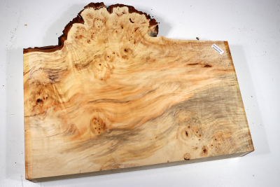 Horse Chestnut Burl 385x320x55mm - Roka0410