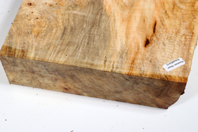 Horse Chestnut Burl 385x320x55mm - Roka0410