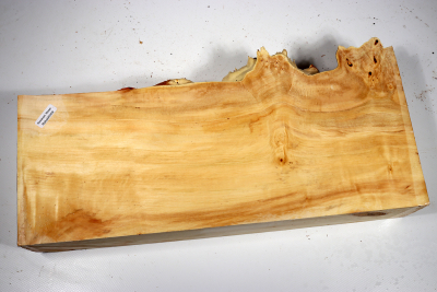Horse Chestnut Burl 390x180x70mm - Roka0409