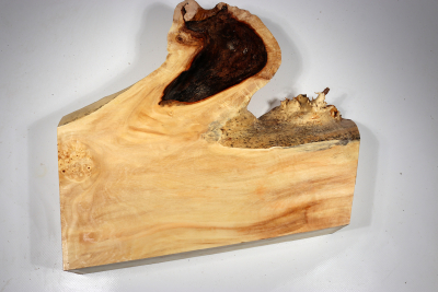 Horse Chestnut Burl 400x350x70mm - Roka0406