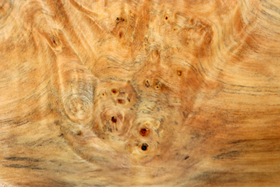 Horse Chestnut Burl 400x350x70mm - Roka0406