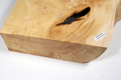 Horse Chestnut Burl 400x350x70mm - Roka0406
