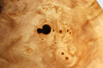 Horse Chestnut Burl 440x220x70mm - Roka0411