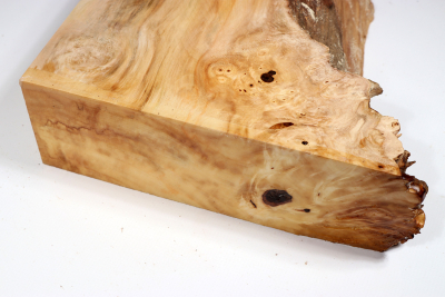 Horse Chestnut Burl 440x220x70mm - Roka0411