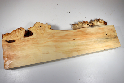 Abschnitt Rosskastanie Maser 575x190x68mm - Roka0414