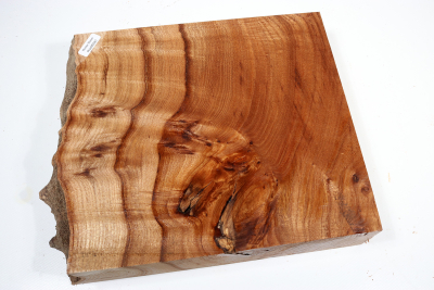 Elm Burl 270x215x50mm - RuesM0581