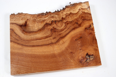 Elm Burl 280x240x50mm - RuesM0589