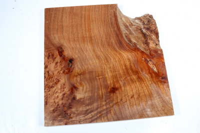 Elm Burl 300x290x32mm - RuesM0630