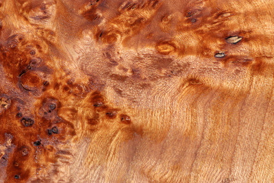 Elm Burl 300x290x32mm - RuesM0630