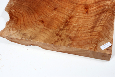 Elm Burl 300x290x32mm - RuesM0630