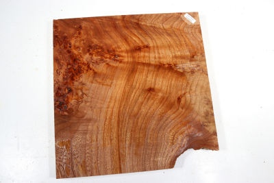 Elm Burl 300x290x32mm - RuesM0630