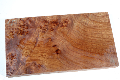 Abschnitt Rüster Maser 310x168x32mm - RuesM0637