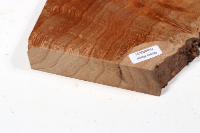 Abschnitt Rüster Maser 310x220x32mm - RuesM0631