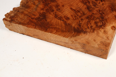 Abschnitt Rüster Maser 310x220x32mm - RuesM0631
