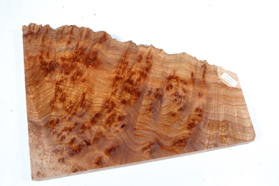 Abschnitt Rüster Maser 310x220x32mm - RuesM0631