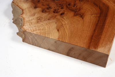 Abschnitt Rüster Maser 310x310x50mm - RuesM0579