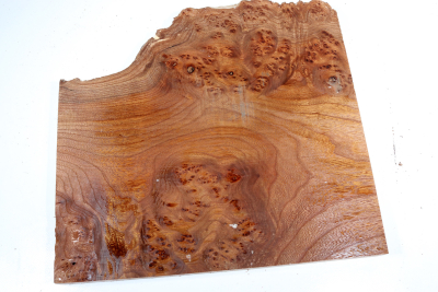 Elm Burl 360x340x32mm - RuesM0636
