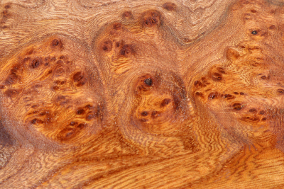 Elm Burl 360x340x32mm - RuesM0636