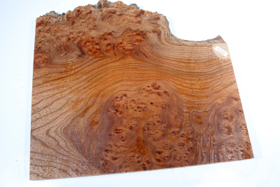 Elm Burl 360x340x32mm - RuesM0636