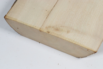 Abschnitt Stechpalme 145x160x42mm - Ilex0254