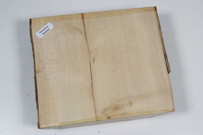 Abschnitt Stechpalme 145x160x42mm - Ilex0254