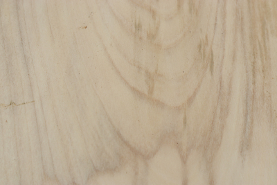 Holly 250x230x50mm - Ilex0223