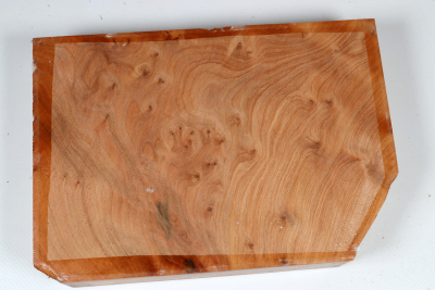 Abschnitt Thuja Maser 200x140x38mm - ThujM1063
