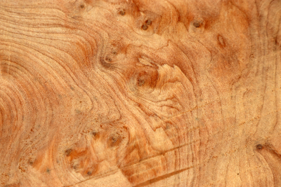 Abschnitt Thuja Maser 200x140x38mm - ThujM1063