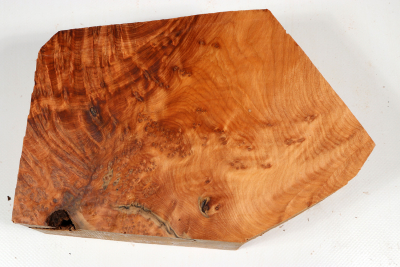 Abschnitt Thuja Maser 220x150x80mm - ThujM1006