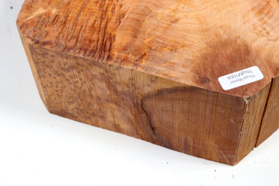 Abschnitt Thuja Maser 220x150x80mm - ThujM1006