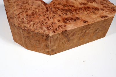 Abschnitt Thuja Maser 270x180x80mm - ThujM1004