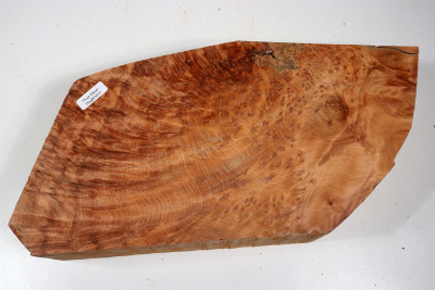 Abschnitt Thuja Maser 320x150x80mm - ThujM1011
