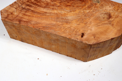 Abschnitt Thuja Maser 320x150x80mm - ThujM1011