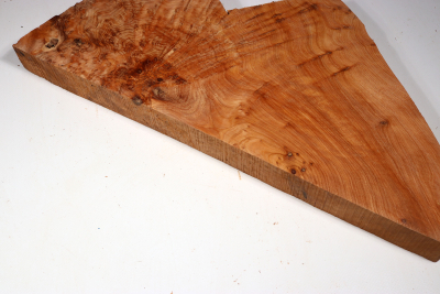 Abschnitt Thuja Maser 440x200x40mm - ThujM1010