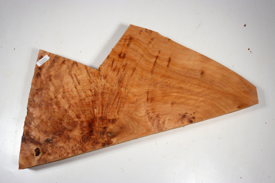 Abschnitt Thuja Maser 440x200x40mm - ThujM1010
