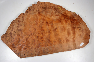 Abschnitt Thuja Maser 500x320x40mm - ThujM1009