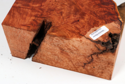 Vavona Burl 210x150x73mm - VavoM0408