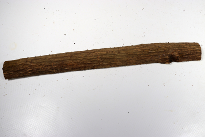 Astabschnitt Berberitze 390x40x20mm - Berb0046