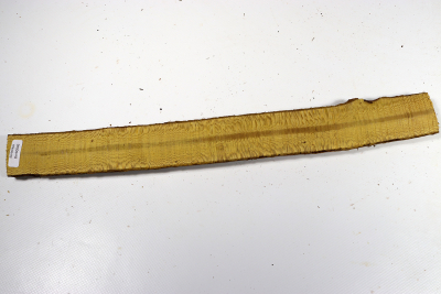 Astabschnitt Berberitze 390x40x20mm - Berb0046