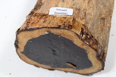 African Blackwood 235x100mm - Gren0551