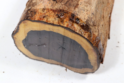 African Blackwood 235x100mm - Gren0551