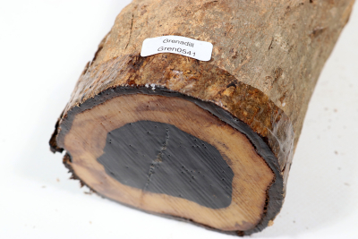 African Blackwood 285x95mm - Gren0541