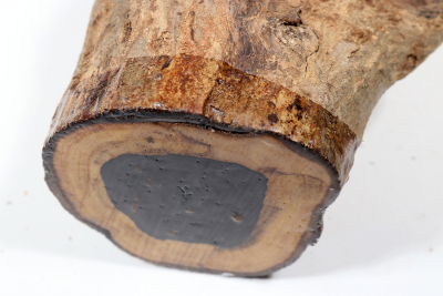 African Blackwood 285x95mm - Gren0541